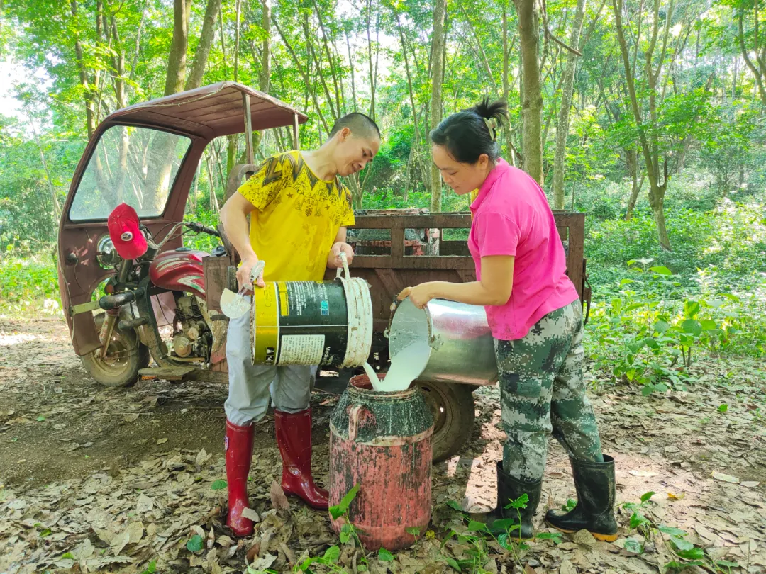 dbec6217d34b4d5dbd4acc15c065301e