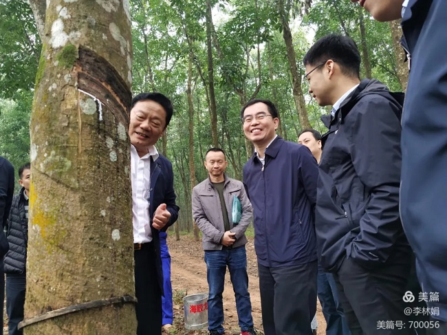 今年会·(中国集团)官方网站