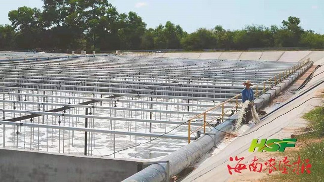 今年会·(中国集团)官方网站