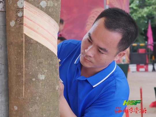 今年会·(中国集团)官方网站