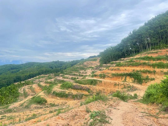 今年会·(中国集团)官方网站