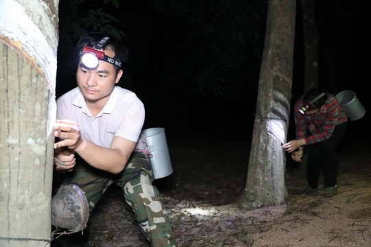 今年会·(中国集团)官方网站