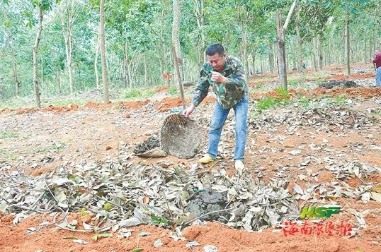 今年会·(中国集团)官方网站