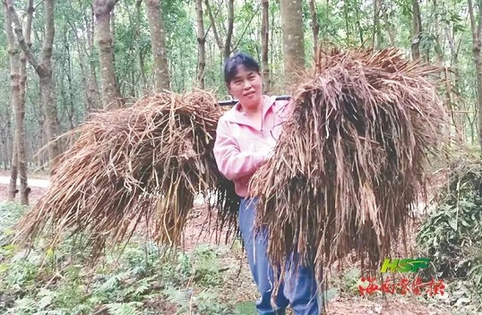 今年会·(中国集团)官方网站