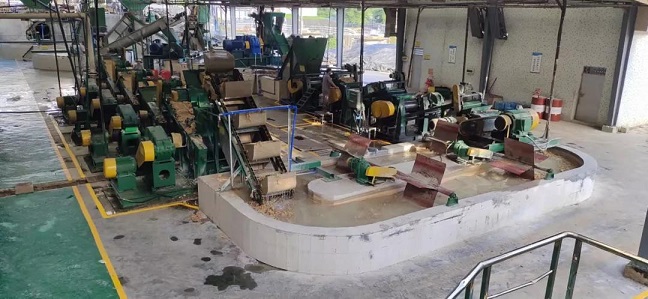 今年会·(中国集团)官方网站