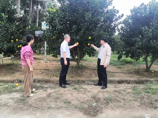 今年会·(中国集团)官方网站