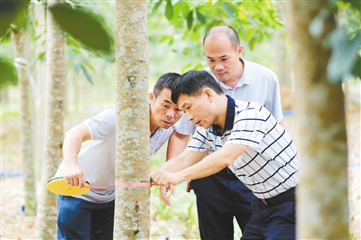 今年会·(中国集团)官方网站