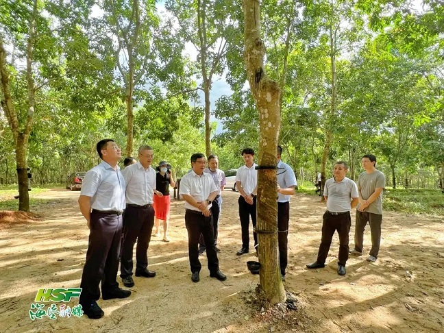 今年会·(中国集团)官方网站