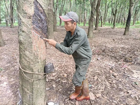 今年会·(中国集团)官方网站