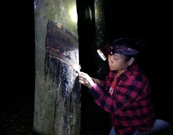 今年会·(中国集团)官方网站