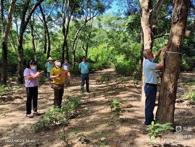 今年会·(中国集团)官方网站