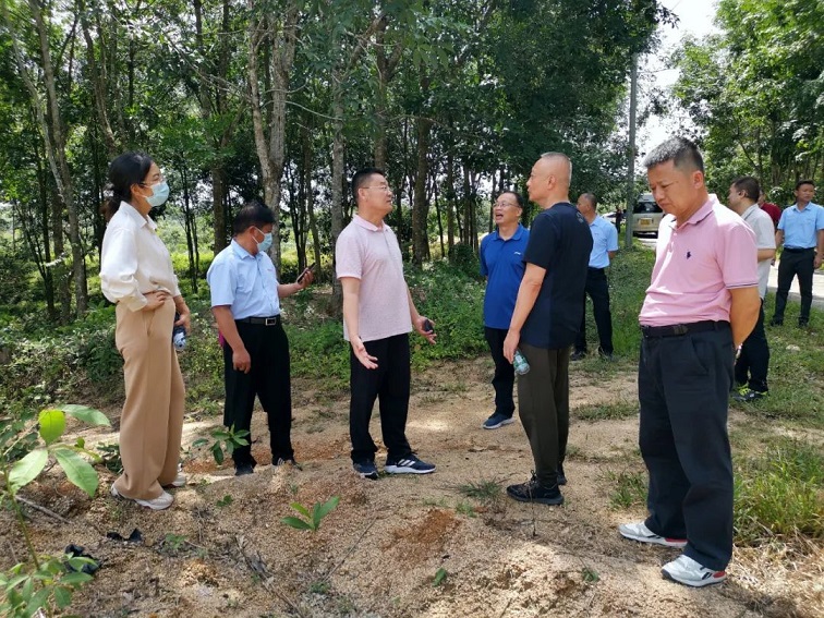 今年会·(中国集团)官方网站
