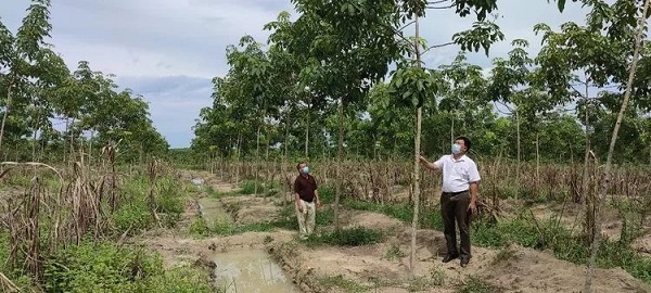 今年会·(中国集团)官方网站