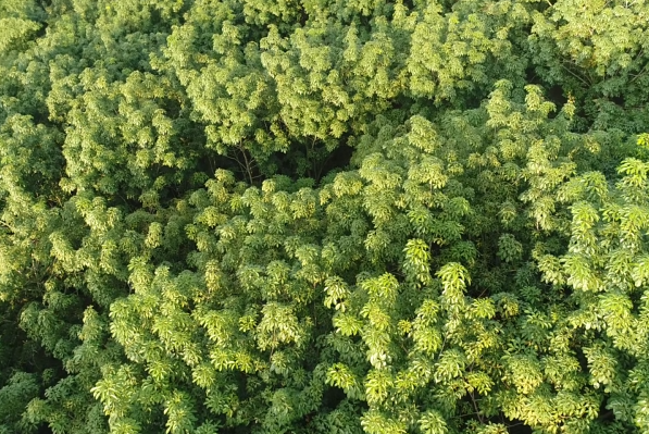 今年会·(中国集团)官方网站