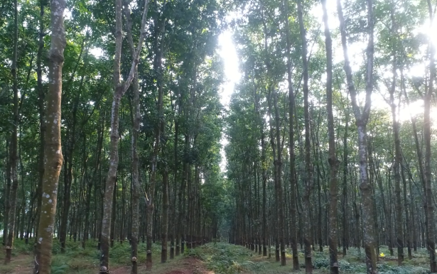 今年会·(中国集团)官方网站