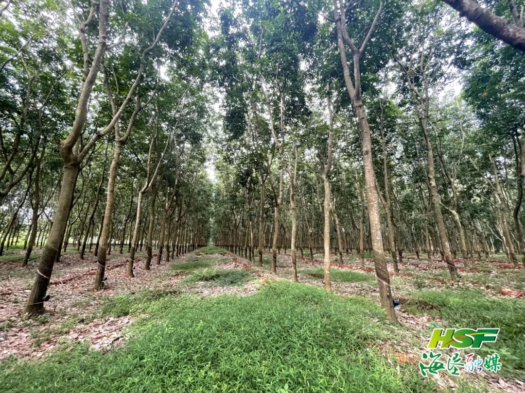 今年会·(中国集团)官方网站