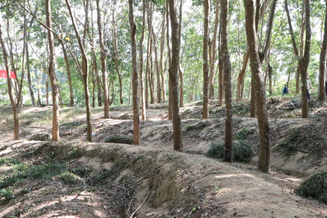 今年会·(中国集团)官方网站