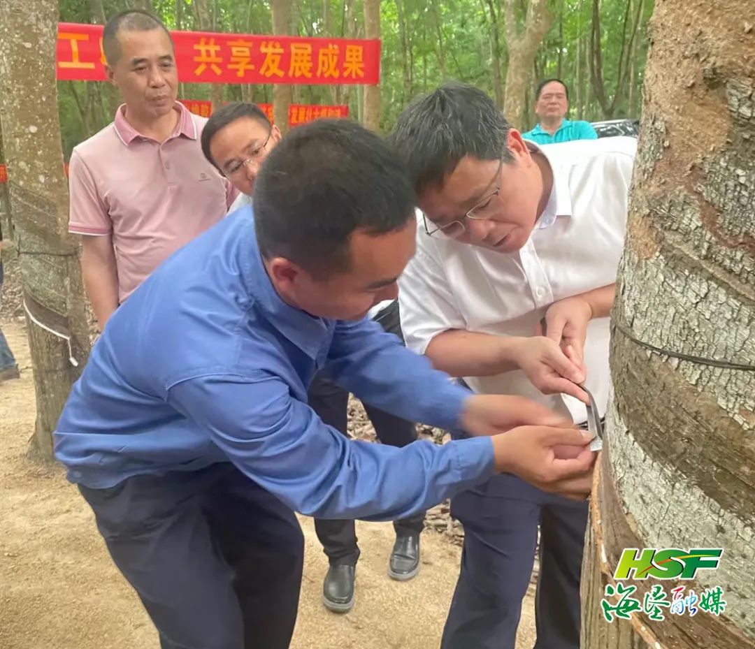 今年会·(中国集团)官方网站