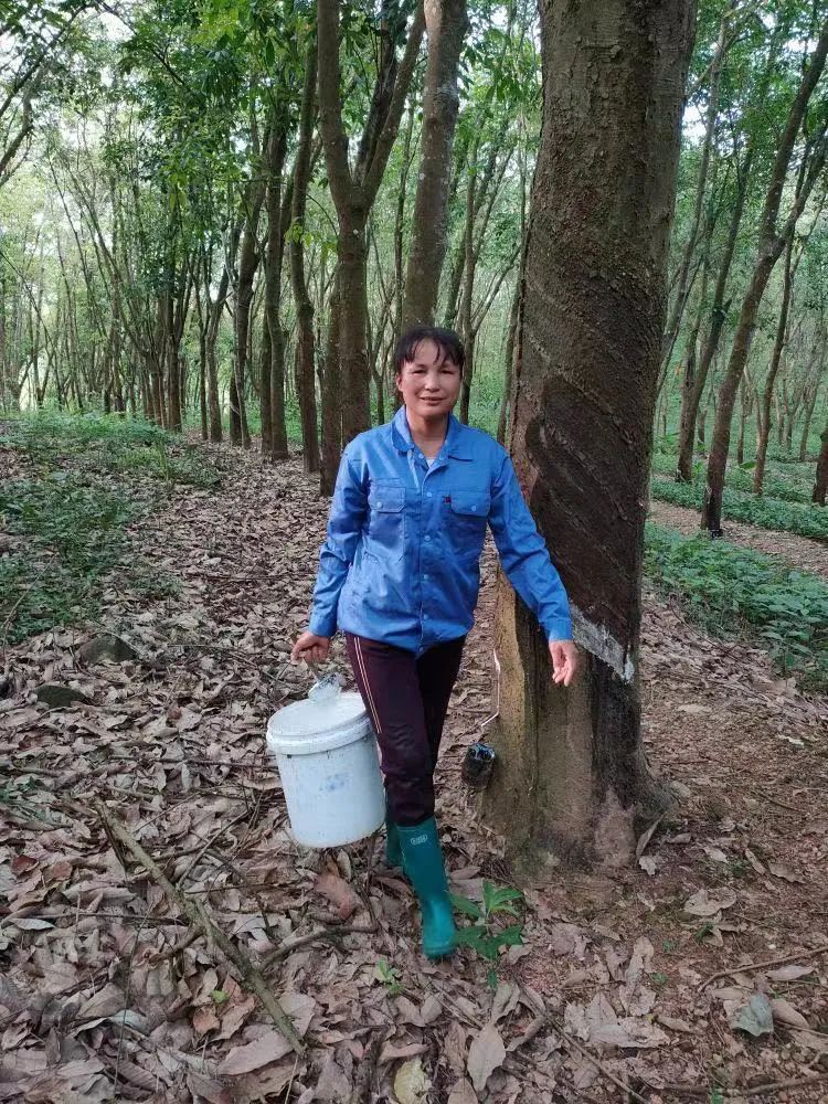 今年会·(中国集团)官方网站
